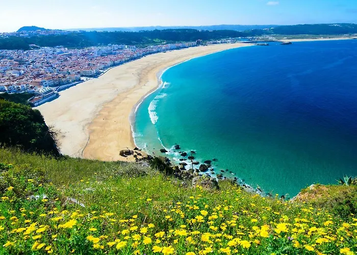 With Garden And Barbecue Nazaré